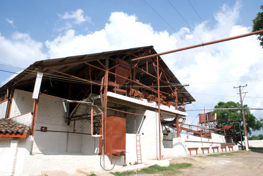 Coffee Processing