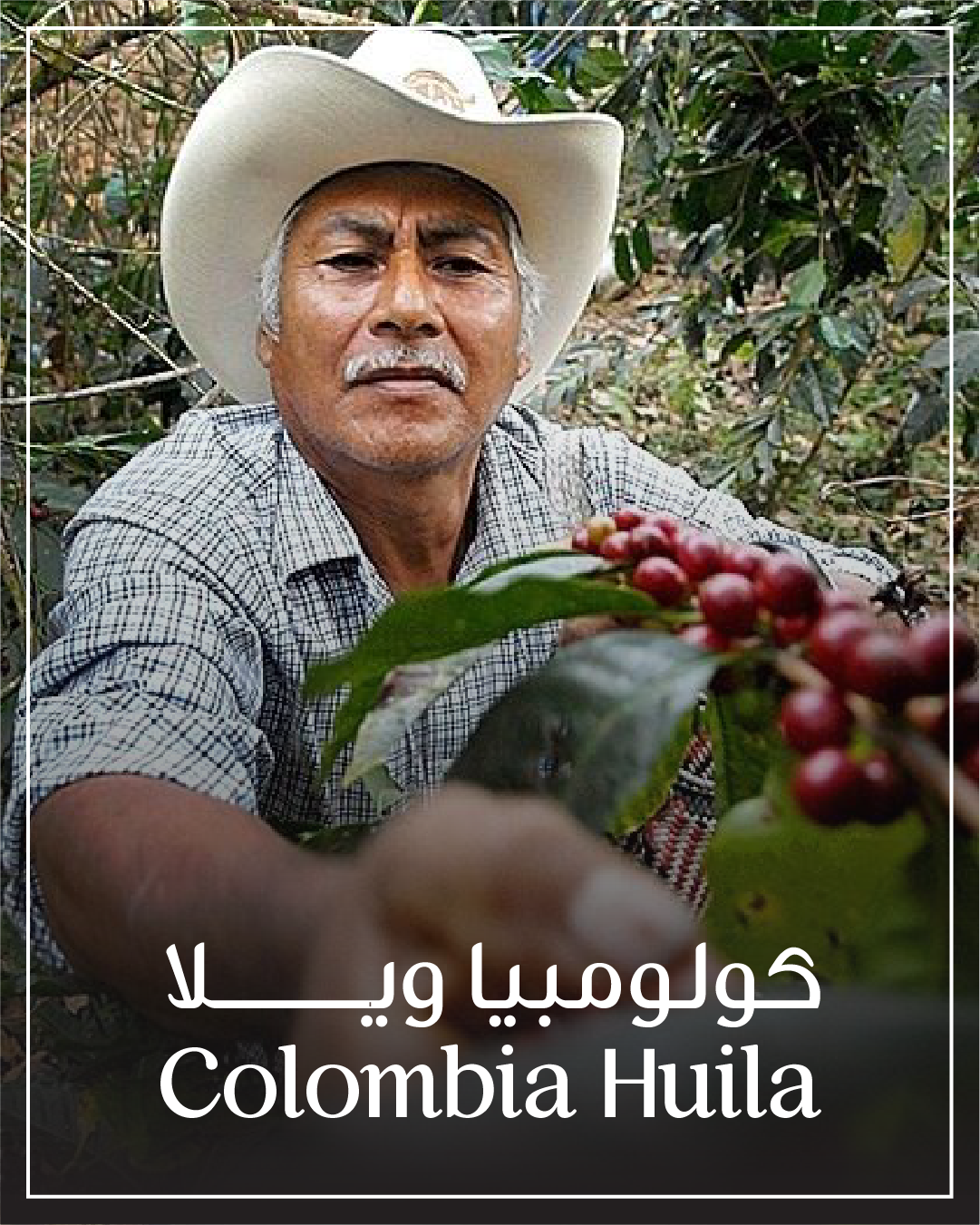 Colombia Huila - كولومبيا ويلا