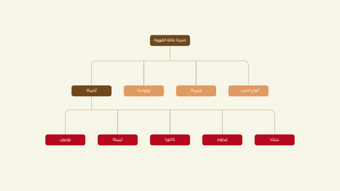 سلالات القهوة | Coffee Varieties