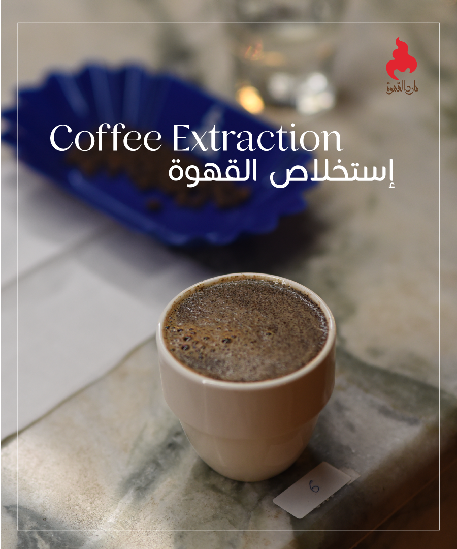 Coffee Extraction