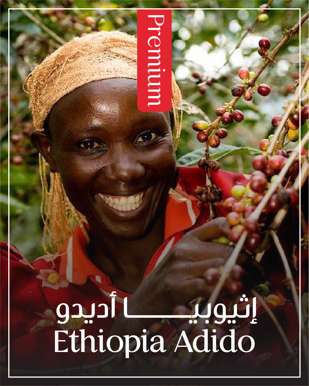 Ethiopia adido ||  اثيوبيا أديدو